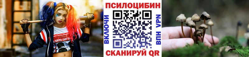где найти   Нязепетровск  Галлюциногенные грибы прущие грибы 